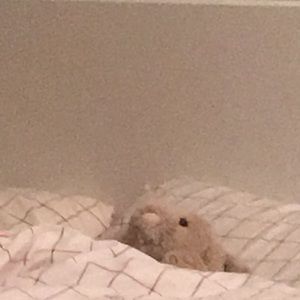 Meet your Posher, Venus